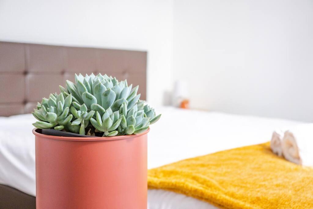 Famille Au Coeur De Perigueux Apartment Ngoại thất bức ảnh